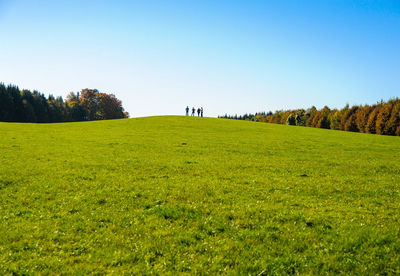 Scenic view of field against clear sky