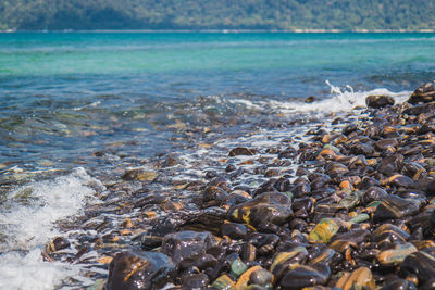 Scenic view of sea shore