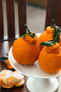 Close-up of orange fruits in plate