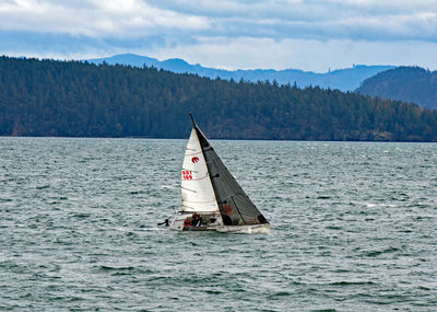 Sailboat in sea against sky