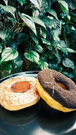 Close-up of food on table