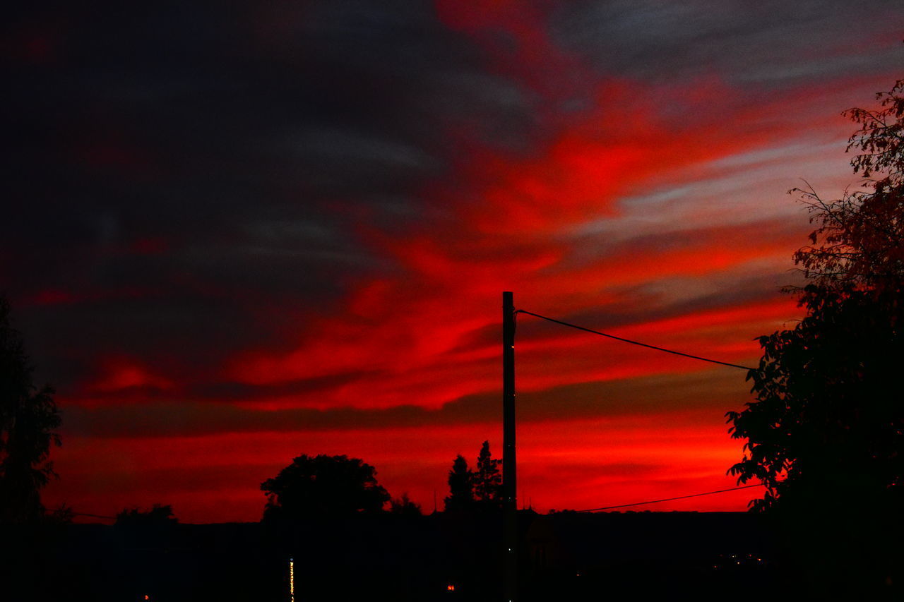 LOW ANGLE VIEW OF SILHOUETTE TREES AGAINST SKY DURING SUNSET