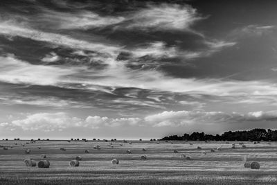 Hay bales on field against sky