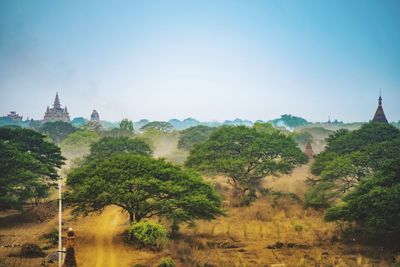 Panoramic view of trees on landscape against clear sky