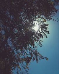 Low angle view of trees against sky