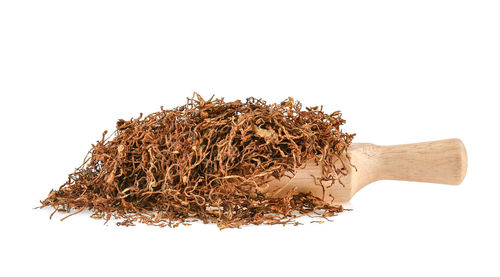 Close-up of dried plant against white background