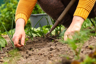 soil