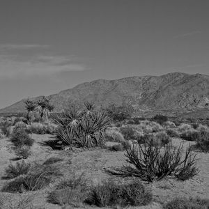 Scenic view of desert against sky