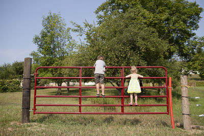 Rear view of playful siblings standing on railing in park