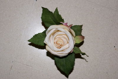 Close-up of flower bouquet