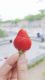 Close-up of hand holding strawberry