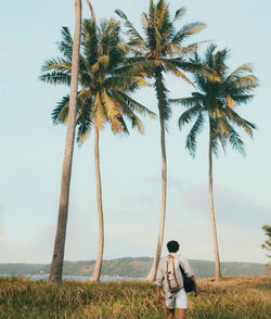 Man and palm trees at observation point against sky