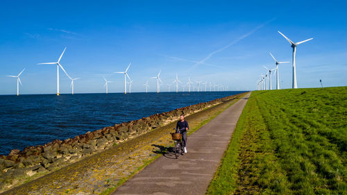 Rear view of people walking on beach against clear blue sky