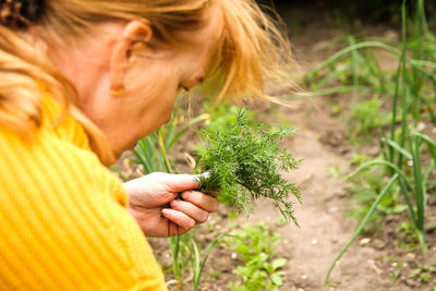 Farmer holding plant dill in hand. summer gardening. farmer holding a dill plant in hand