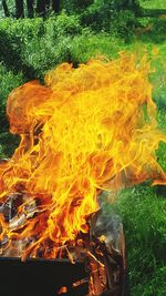 Close-up of bonfire on field