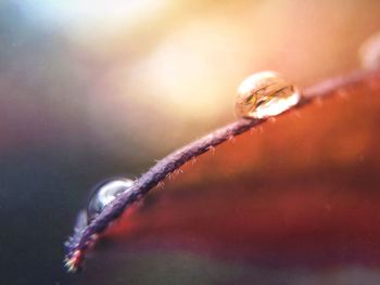 Close up of water