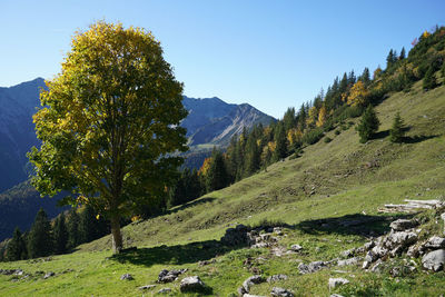 Scenic view of mountains against clear sky