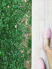 Low section of woman standing on grass