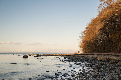 Scenic view of sea against clear sky