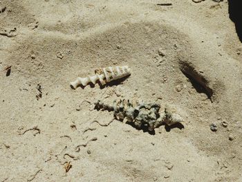 High angle view of sand on beach