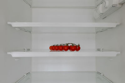 Empty frige shels with only branch of baby tomatoes