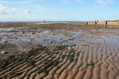 Scenic view of beach against sky