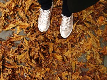 Low section of person standing on tiled floor