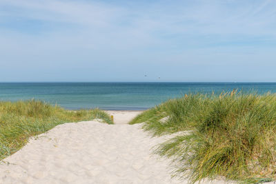 German baltic sea coast with sand dunes, grass, water and blue sky