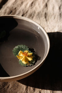 Close-up of food in bowl on table