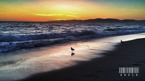 Scenic view of sea at sunset