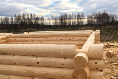 Close-up of wooden logs on field against sky