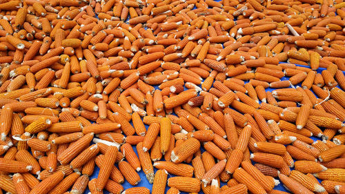 Full frame shot of orange market stall