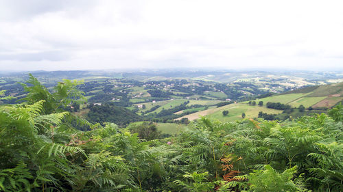 Scenic view of green landscape against sky
