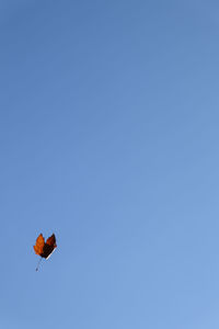 Low angle view of kite against clear blue sky