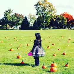 Full length of girl in costume amongst pumpkins on grassy field against sky during autumn