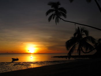 Silhouette of palm trees at sunset