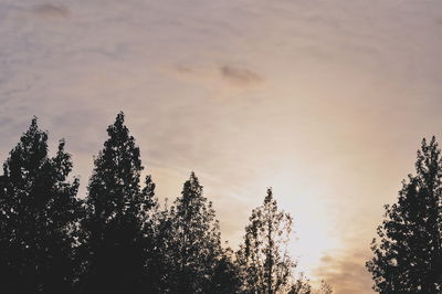 Low angle view of trees against cloudy sky