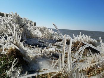 Panoramic shot of water against clear sky