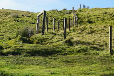 Wooden posts on field against sky