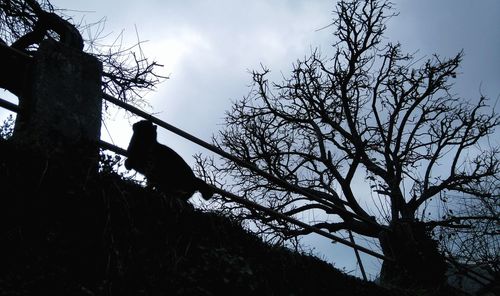 Low angle view of silhouette bare trees against sky