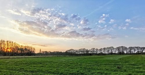 Scenic view of field against sky during sunset