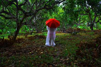 Rear view of a man standing in forest