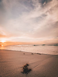 Scenic view of beach against sky during sunset