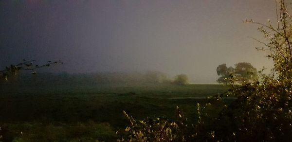 Scenic view of field against sky during foggy weather