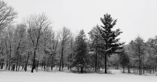 Scenic view of snow covered landscape