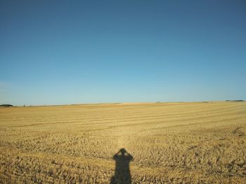 Man standing on field against clear blue sky