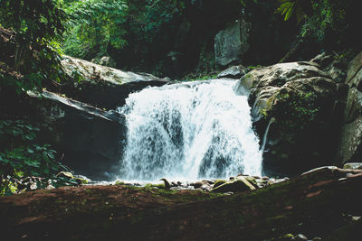 Scenic view of waterfall in forest