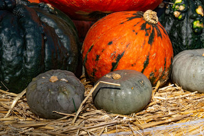 Close-up of pumpkins