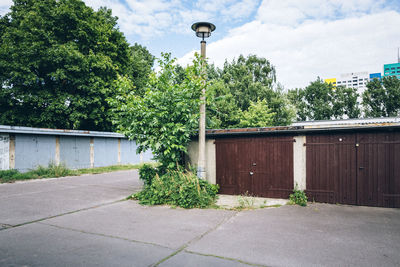 Trees in park