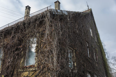 Low angle view of damaged tree against sky